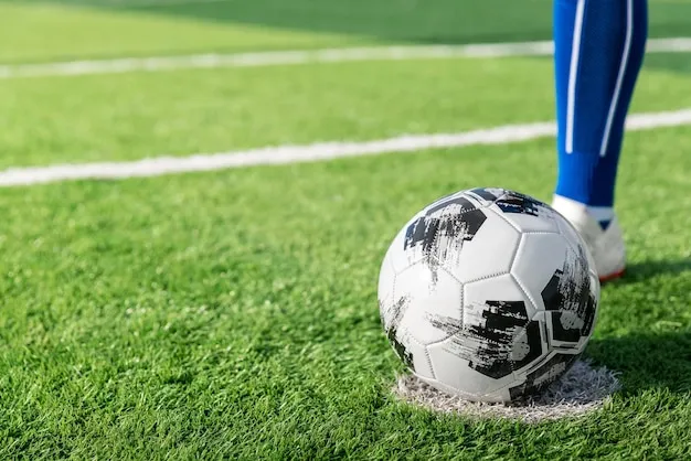 人人体育直播 地图与到达方式